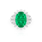 imagem do produto  Anel com Turmalina Paraba Verde 18,27ct  Certificao GIA